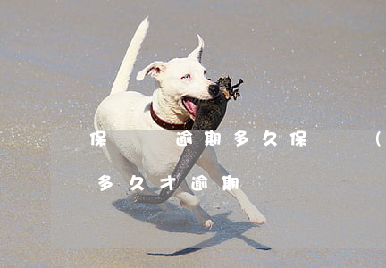 保單貸逾期多久保單會(huì)失效（保單多久才逾期）