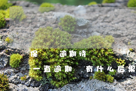 保單貸逾期待償還狀態(tài)-保單貸一直逾期會有什么后果