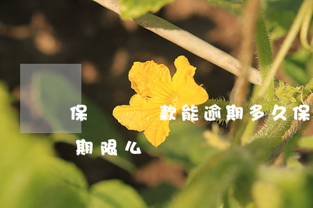 保單貸還款能逾期多久(保單貸款多久還款有期限么)