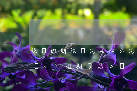保單逾期能辦信用卡么(信用卡的保險(xiǎn)逾期了怎么辦?)