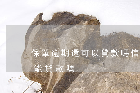保單逾期還可以貸款嗎(信用卡逾期后用保單能貸款嗎)