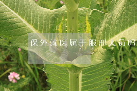 保外就医属于服刑人员吗