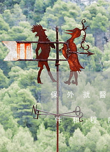保外就醫(yī)條件(保外就醫(yī)條件和程序)
