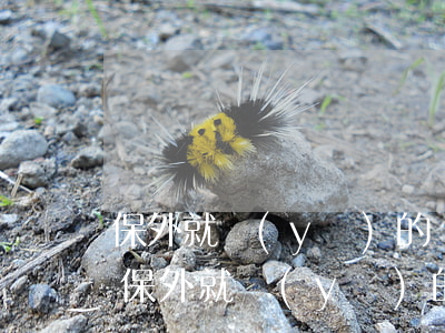 保外就醫(yī)的條件(監(jiān)獄保外就醫(yī)的條件)