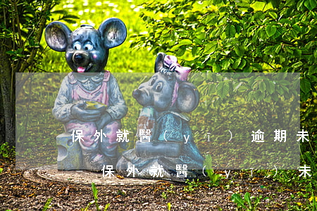 保外就醫(yī)逾期未歸屬于網上追逃嗎-保外就醫(yī)未及時續(xù)保誰的責任