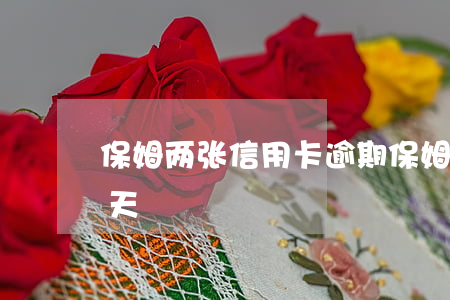 保姆两张信用卡逾期 保姆两张信用卡逾期三天