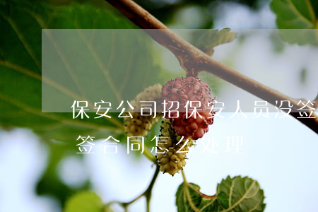 保安公司招保安人员没签合同违法吗(保安没签合同怎么处理)