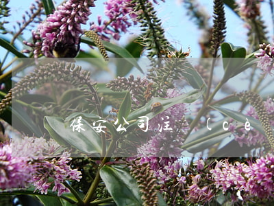 保安公司注冊(cè)