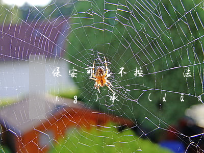 保安可以不按勞動法嗎(保安員違法應(yīng)承擔(dān)的法律責(zé)任)