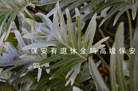 保安有退休金吗(高级保安证退休后有加工资吗)