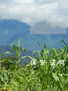 保安证可以用多少年(保安证有效期是几年)