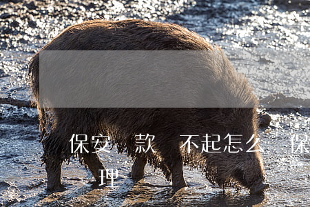 保安貸款還不起怎么辦(保安貸款還不起怎么辦理)