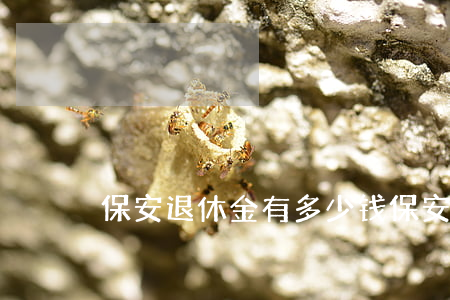 保安退休金有多少钱(保安保险多少钱一个月)