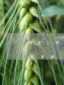 保定二手車交易網(wǎng)(保定二手車交易網(wǎng)58同城網(wǎng))