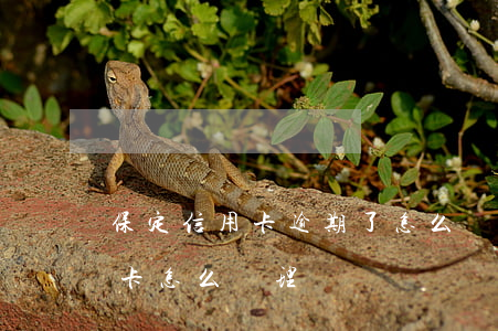 保定信用卡逾期了怎么辦理(逾期還清的信用卡怎么處理)