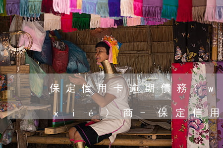 保定信用卡逾期債務(wù)重組怎么協(xié)商-保定信用卡逾期債務(wù)重組怎么協(xié)商還款