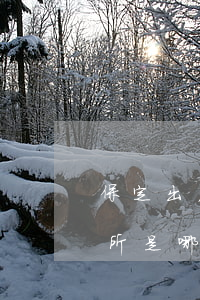 保定出名律師(保定最大的律師事務(wù)所是哪一個(gè)啊)