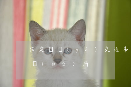 保定專業(yè)交通事故律師(保定律師事務(wù)所)