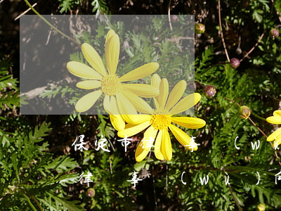 保定市律師事務(wù)所排名(保定最大的律師事務(wù)所是哪一個啊)