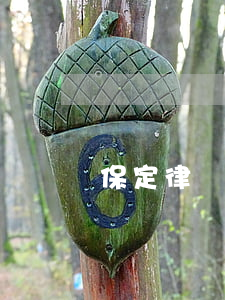 保定律師團隊(保定中律律師事務所怎么樣)