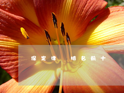 保定律師排名前十