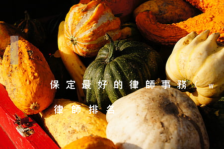 保定最好的律師事務(wù)所(保定市十佳律師排名)