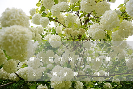 保定最好的律師所(保定最大的律師事務(wù)所是哪一個啊)
