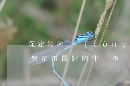 保定知名勞動(dòng)糾紛律師(河北省保定市最好的律師事務(wù)所)
