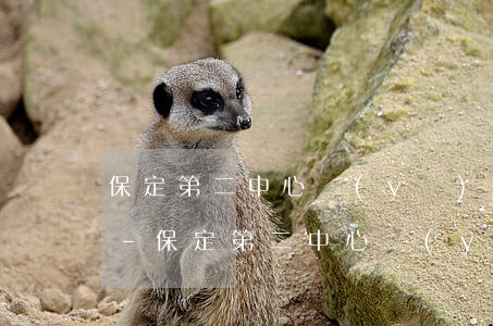 保定第二中心醫(yī)院逾期繳費扣錢嗎-保定第二中心醫(yī)院逾期繳費扣錢嗎怎么辦