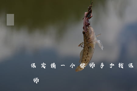 保定请一个律师多少钱(保定市内最有名的律师)