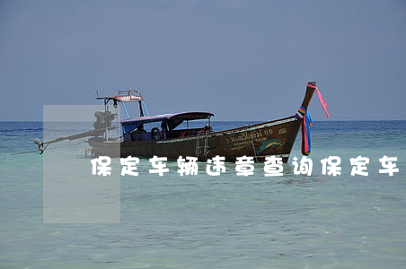 保定车辆违章查询(保定车辆违章查询电话)
