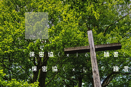 保密協(xié)議書(shū)范本(員工保密協(xié)議書(shū)范本)