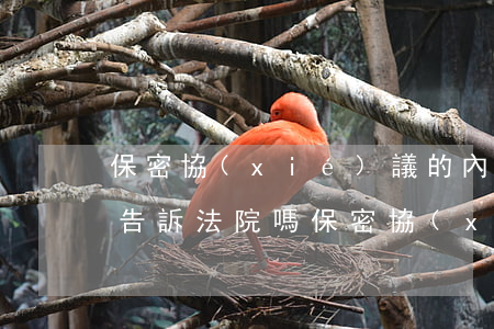 保密協(xié)議的內(nèi)容可以告訴法院嗎(保密協(xié)議如何生效)