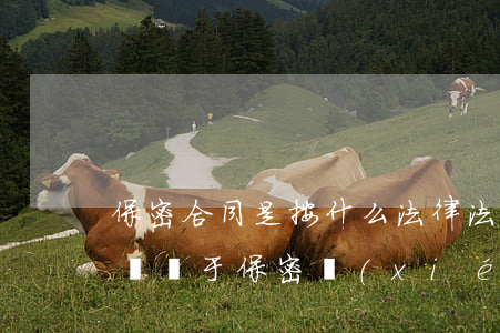 保密合同是按什么法律法規(guī)(請問關于保密協(xié)議的法律法規(guī)是什么法)