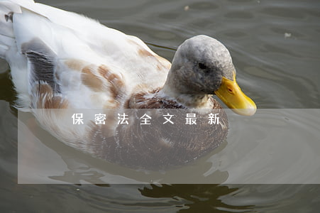 保密法全文最新 保密法全文最新