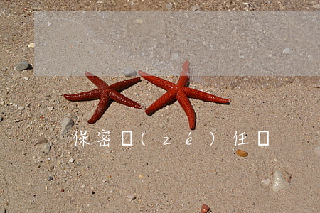 保密責(zé)任書