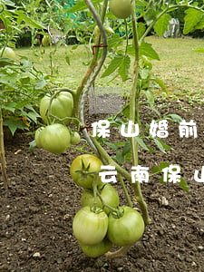 保山婚前財(cái)產(chǎn)律師(云南保山律師咨詢)