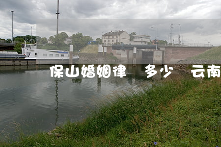 保山婚姻律師多少錢(云南保山律師咨詢)