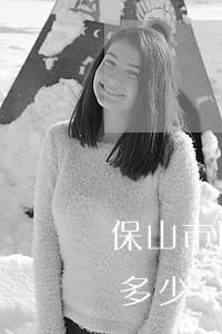 保山市四縣請(qǐng)個(gè)律師多少費(fèi)用(云南保山律師咨詢)