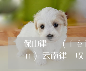 保山律師費(fèi)一次多少錢(qián)(云南律師收費(fèi))