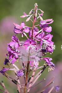 保山普律师(云南保山律师事务所咨询热线电话)