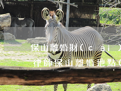 保山離婚財(cái)產(chǎn)分配律師(保山離婚地點(diǎn)在哪里)
