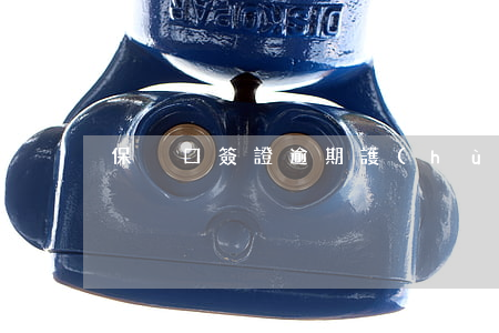 保戶口簽證逾期(護(hù)照簽證逾期)