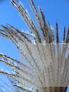 保洁用工协议