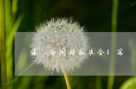 保潔合同模板集合5篇