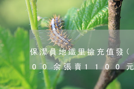 保潔員地鐵里撿充值發(fā)票售賣 1800余張賣1100元 獲刑10個月