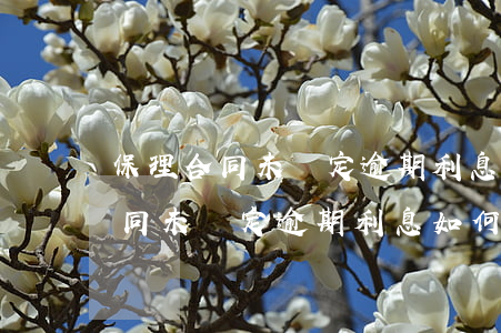 保理合同未約定逾期利息如何主張-保理合同未約定逾期利息如何主張賠償