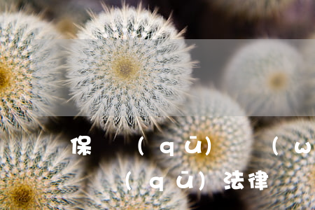 保稅區(qū)債務(wù)糾紛請律師(保稅區(qū)法律)