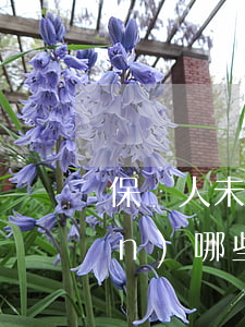 保證人未履行義務(wù)需要承擔(dān)哪些責(zé)任？