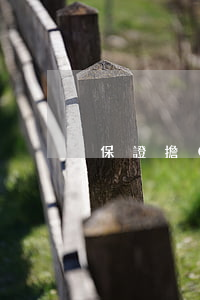 保證擔(dān)保借款合同